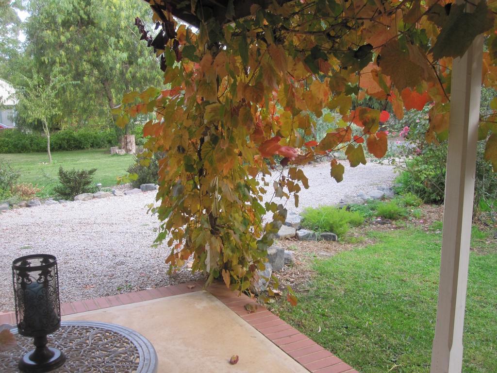 Amy'S House Bed & Breakfast Auburn Екстер'єр фото
