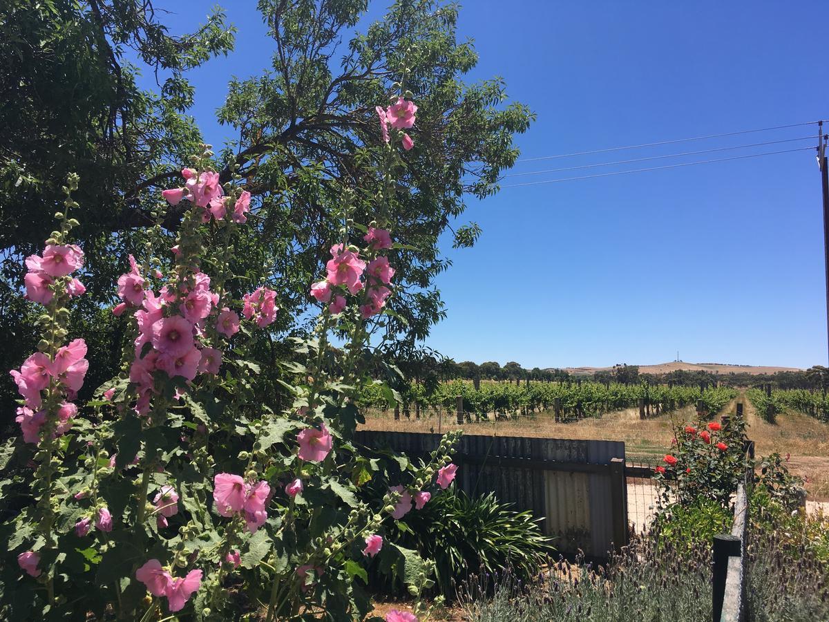 Amy'S House Bed & Breakfast Auburn Екстер'єр фото