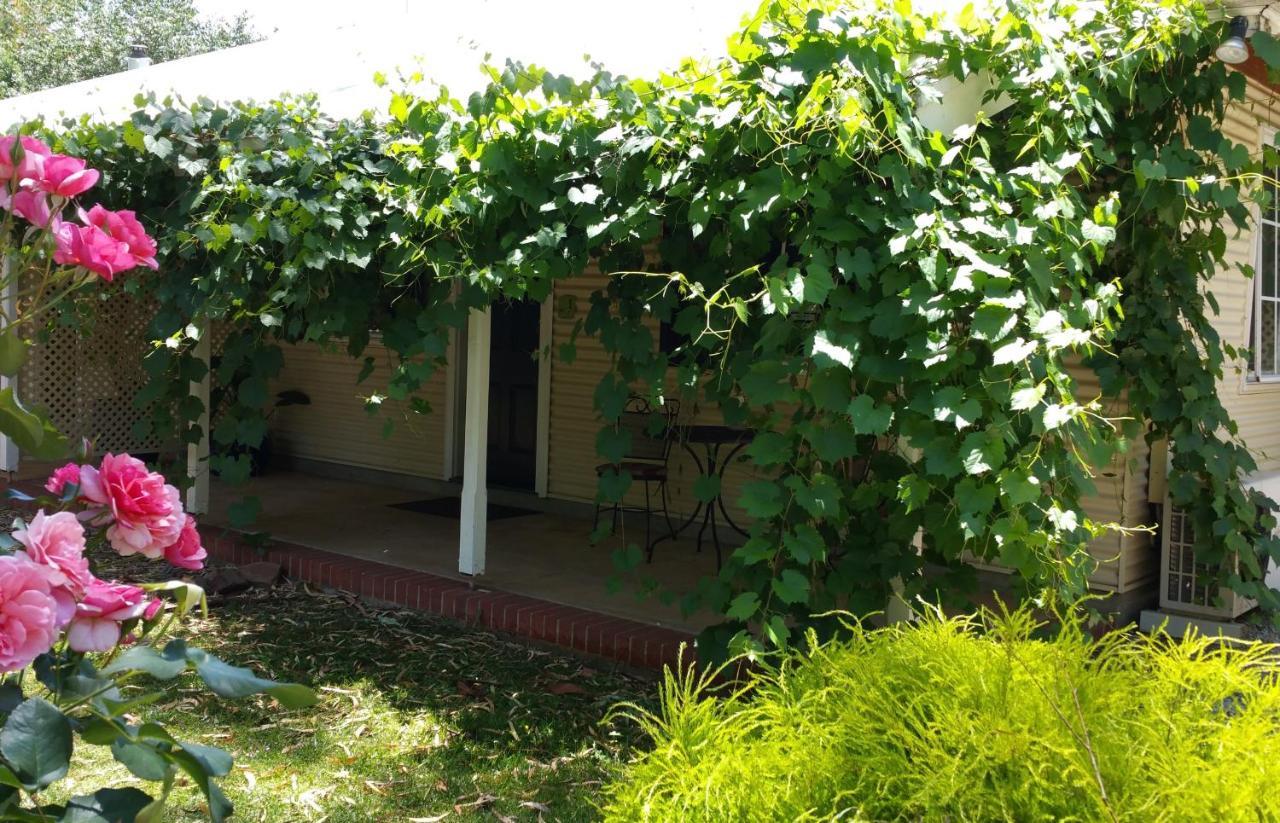 Amy'S House Bed & Breakfast Auburn Екстер'єр фото